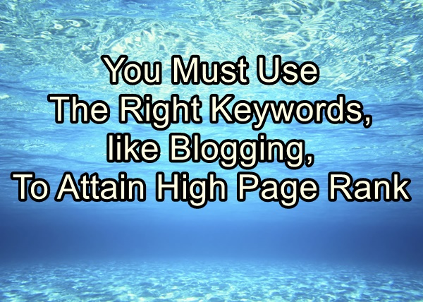 You Must Use The Right Keywords, like Blogging, To Attain High Page Rank